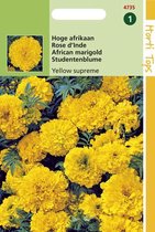 Hoge Afrikaan Bloemzaad - Yellow Supreme