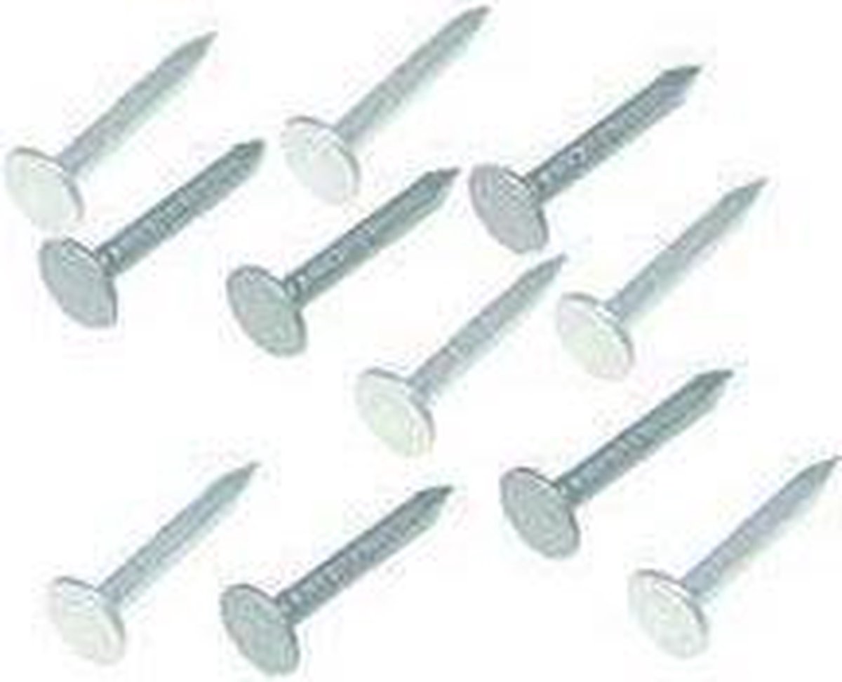 Asfaltnagel verzinkt 3.0x25mm 350 gram. Homefix. Kopspijkers.