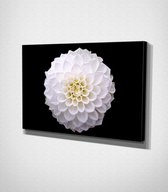 White Flower Canvas - 120 x 80 cm - Bloemen - Schilderij - Canvas - Slaapkamer - Wanddecoratie  - Slaapkamer - Foto op canvas