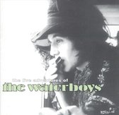 Live Adventures of the Waterboys