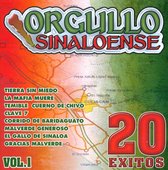 Orgullo Sinaloense: 20 Exitos, Vol. 1