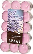 Spaas Citronella Waxlinelichtjes - Lavender Pink - 30 Stuks