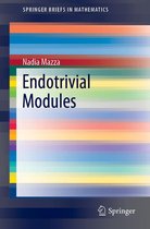 SpringerBriefs in Mathematics - Endotrivial Modules