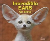 Animal Bodies Up Close- Incredible Ears Up Close