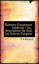 L Mens D'Anatomie G N Rale