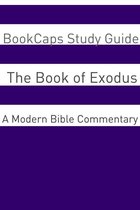 The Book of Exodus: A Modern Bible Commentary