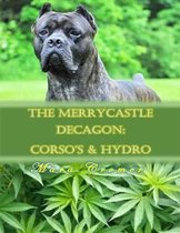 The Merrycastle Decagon: Corsos & Hydro