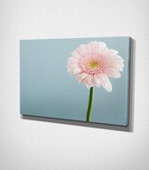 Pink Flower Canvas - 60 x 40 cm