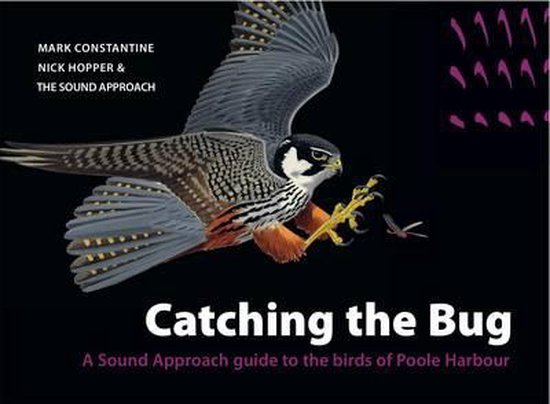 Catching the Bug