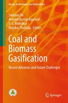 Energy, Environment, and Sustainability - Coal and Biomass Gasification