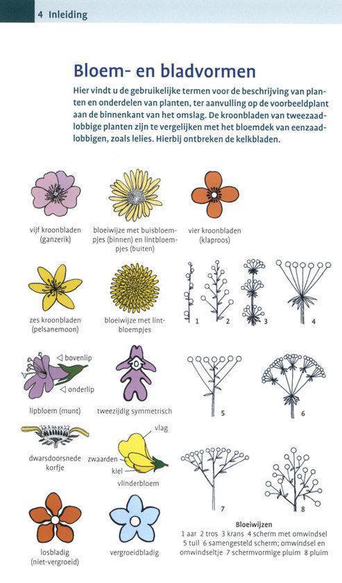 Cover van het boek 'Alpenflora'