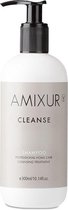 Amixur Shampoo 300ml