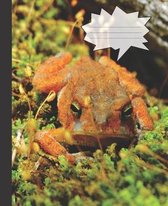 Cute Funny Frog Face in the Green Moss Wide-ruled Lined School Composition Notebook