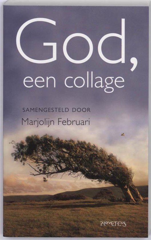 Cover van het boek 'God, een collage' van M. Februari