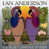 Secret Language Of Birds
