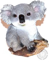 Koala groot 20 cm
