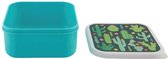 Lunchbox Colourful Cactus | Sass & Belle