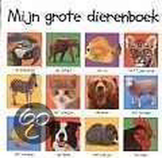 Cover van het boek 'Mijn grote dierenboek'