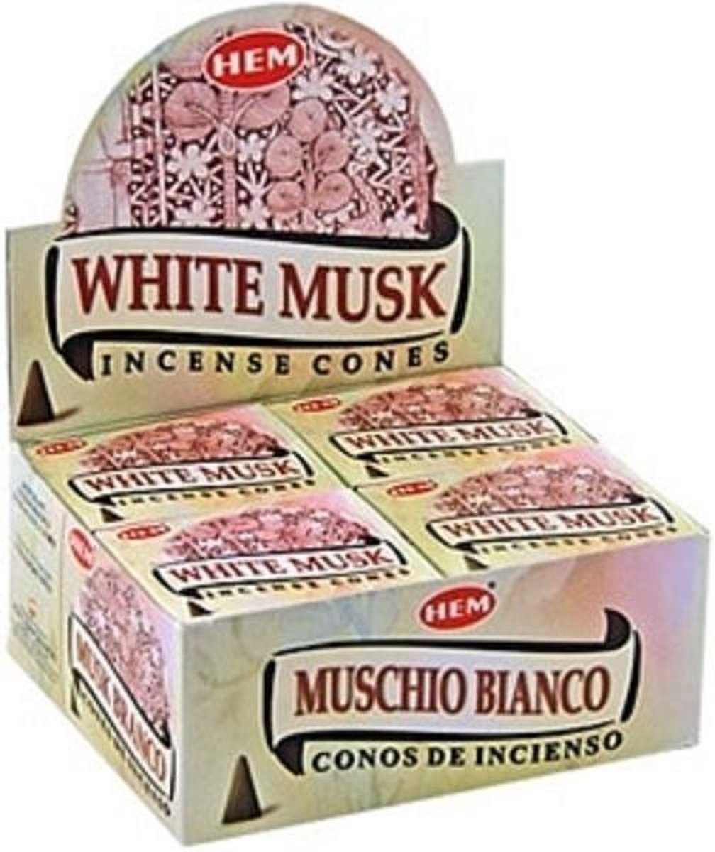 HEM Wierook Kegel White Musk (12 pakjes)