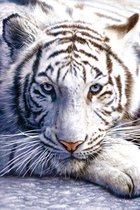 White Tiger - Poster