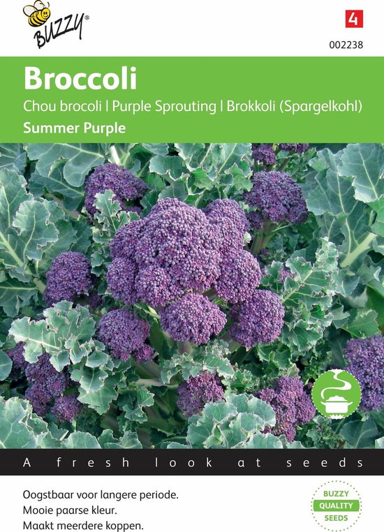 Buzzy® Broccoli Summer Purple