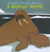 A Walrus' World