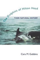 The Dolphins of Hilton Head