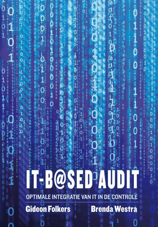 IT-based audit