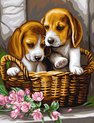 foto van Schilderen op Nummer - Puppy