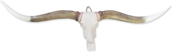 Longhoorn - Wanddecoratie - Muurdecoratie - Skull - Dierenschedel - Longhorn - Western - Landelijk - 170 cm