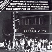 Max's Kansas City 1976