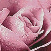 Mix & Match Borduurpakket Oriental Pink Rose