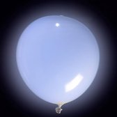 Ballonnen – LED ballonnen – Lichtgevende ballonnen – LED – Wit – 5 stuks