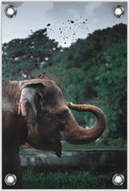 Tuinposter –Olifant gooiend met Aarde – 80x120cm Foto op Tuinposter (wanddecoratie voor buiten en binnen)