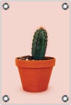 Tuinposter –Cactus op Roze Achtergrond – 80x120cm Foto op Tuinposter (wanddecoratie voor buiten en binnen)
