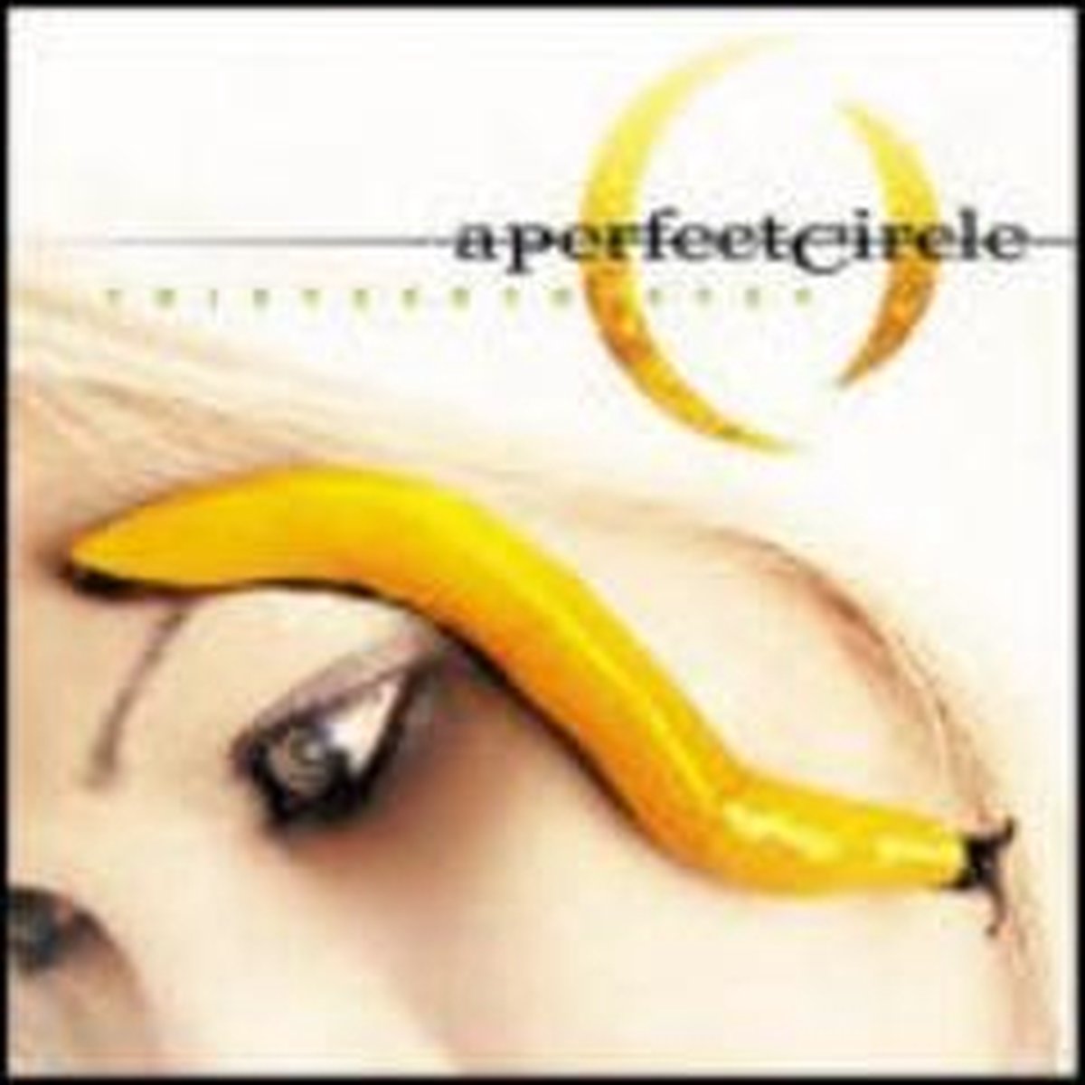 Perfect Circle - Thirteenth Step