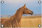 Tuinposter –Bruin Paard– 90x60cm Foto op Tuinposter (wanddecoratie voor buiten en binnen)
