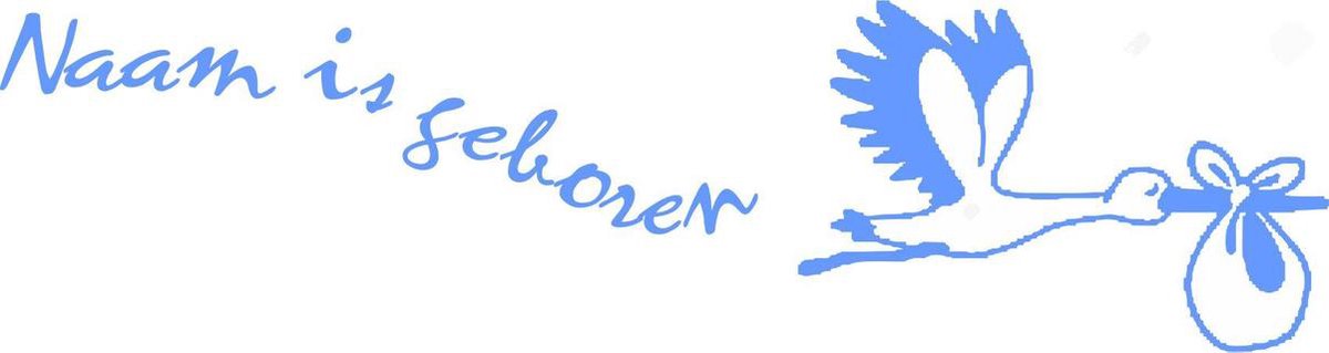 Goedkoopste geboorte raam sticker 005 40 cm - 155 cm