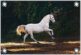 Tuinposter –Wit Paard– 90x60cm Foto op Tuinposter (wanddecoratie voor buiten en binnen)