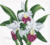 Volledige Borduurpakketen Volwassenen   -   Voorbedrukt    - Hobby en Creatief -   Borduurset   -  Voorbedrukt borduurpakket Bouquet of Orchids  Needleart World op aida