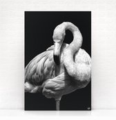 HIP ORGNL Schilderij Flamingo - 40x60cm - Wanddecoratie dieren - Zwart wit