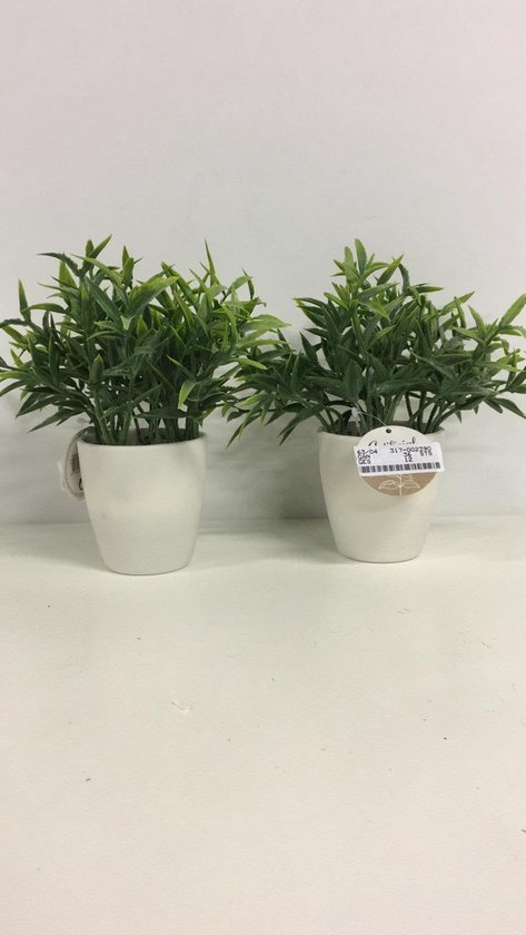 artificial plants (kunst planten) - set (2 stuks) | bol.com