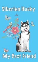 Siberian Husky My Best Friend