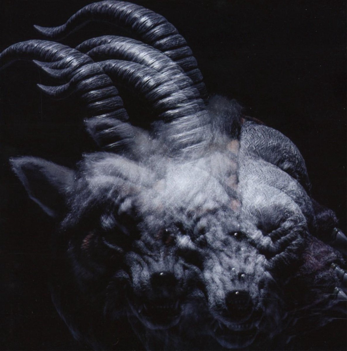 Beautiful Deformity