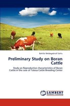 Preliminary Study on Boran Cattle