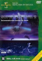 Supernatural 4-6 (D)