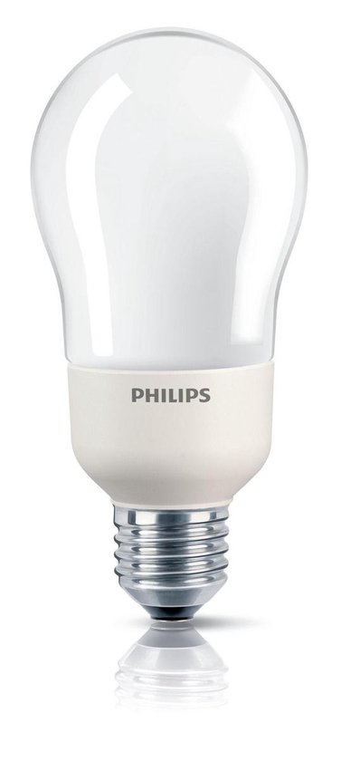 Philips Spaarlamp Soft.Dimmable 12WE27 | bol.com