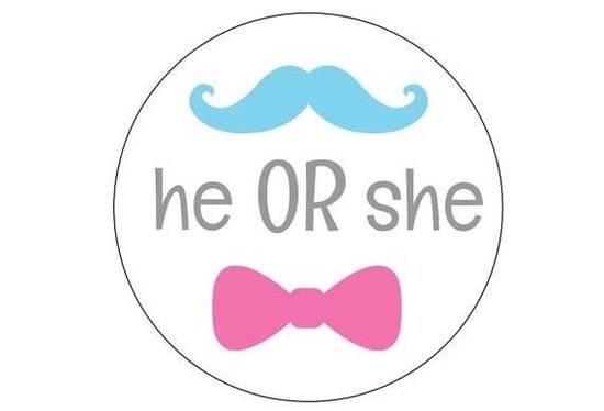 Bol Com He Or She Gender Luiertaart Bol Com He Or She Gender Luiertaart