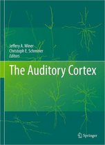 The Auditory Cortex