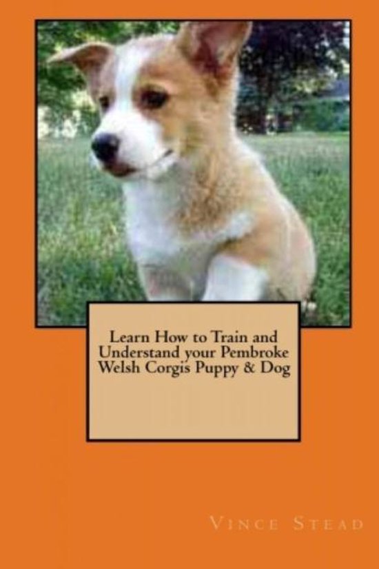 Learn How to Train and Understand Your Pembroke Welsh Puppy